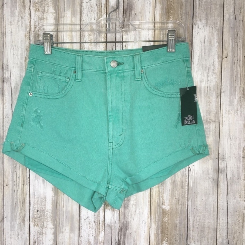 NWT Wild Fable Green High Rise Cheeky Shorts